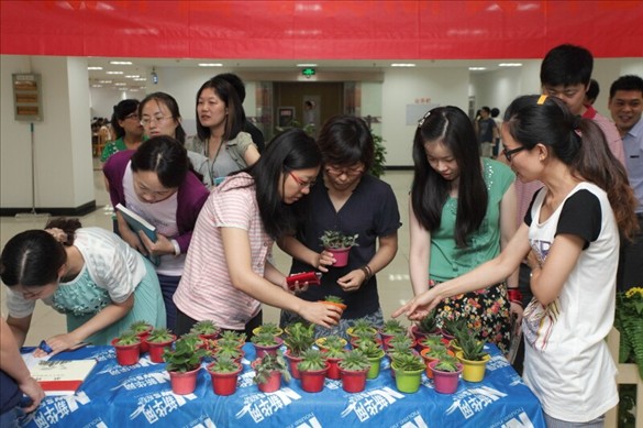 金百博集团团委举办图书换绿植公益活动