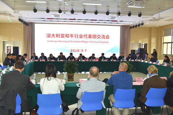 金百博冷链公司成功举办澳大利亚和牛项目招商推介会